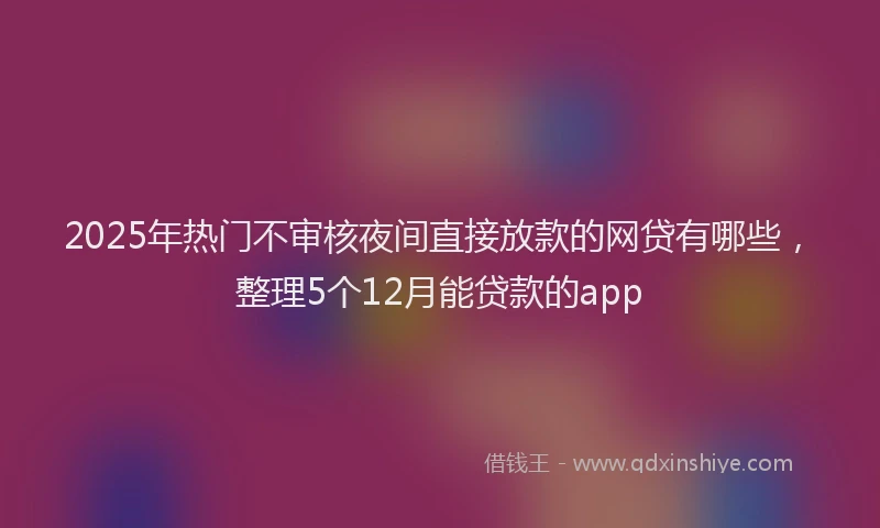 2025年热门不审核夜间直接放款的网贷有哪些，整理5个12月能贷款的app