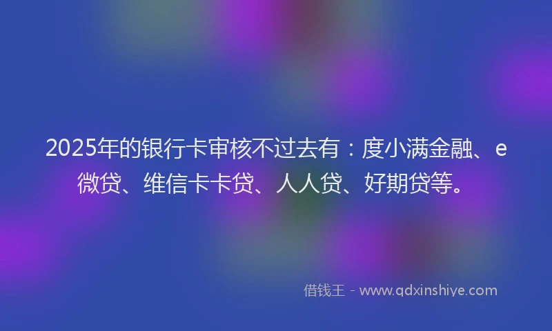 2025年的银行卡审核不过去有：度小满金融、e微贷、维信卡卡贷、人人贷、好期贷等。