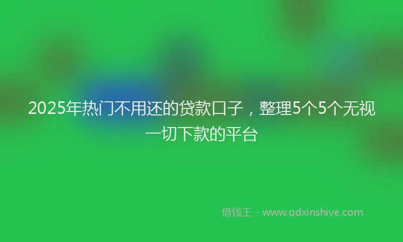 2025年热门不用还的贷款口子，整理5个5个无视一切下款的平台