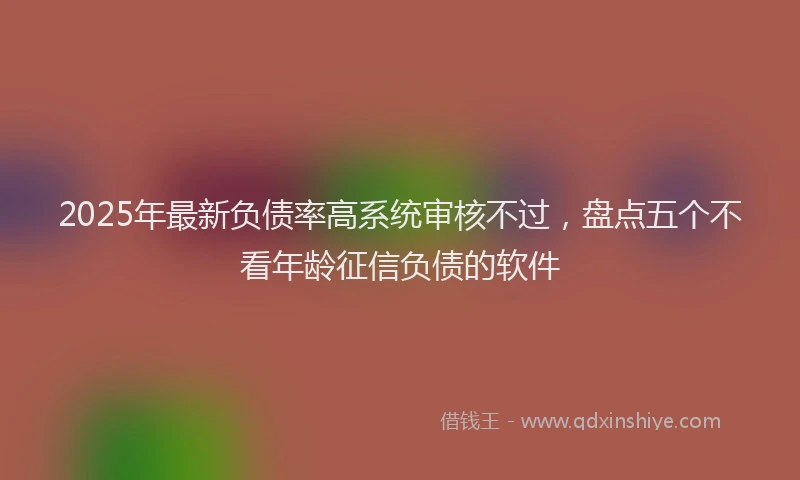 2025年最新负债率高系统审核不过，盘点五个不看年龄征信负债的软件