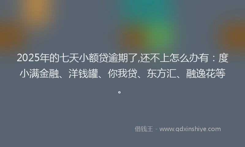 2025年的七天小额贷逾期了,还不上怎么办有：度小满金融、洋钱罐、你我贷、东方汇、融逸花等。