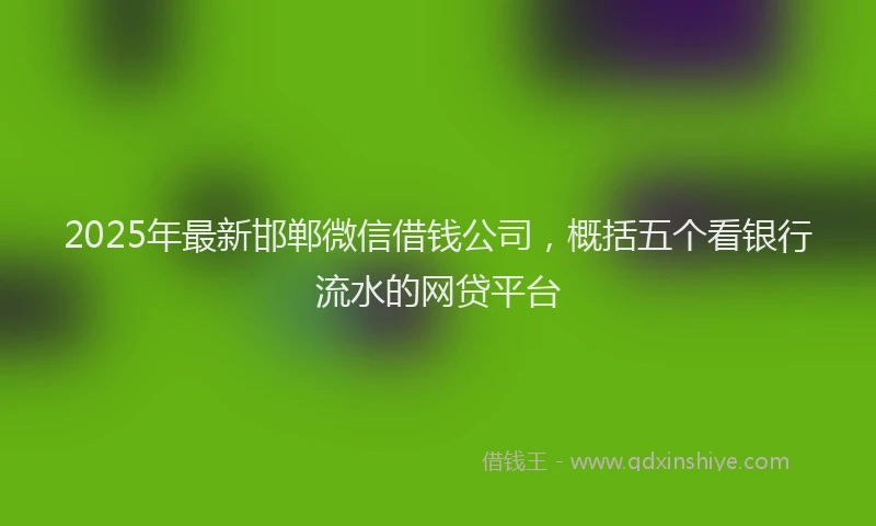 2025年最新邯郸微信借钱公司，概括五个看银行流水的网贷平台