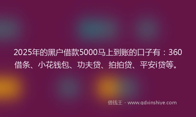2025年的黑户借款5000马上到账的口子有：360借条、小花钱包、功夫贷、拍拍贷、平安i贷等。