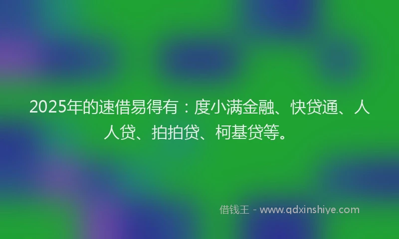 2025年的速借易得有：度小满金融、快贷通、人人贷、拍拍贷、柯基贷等。