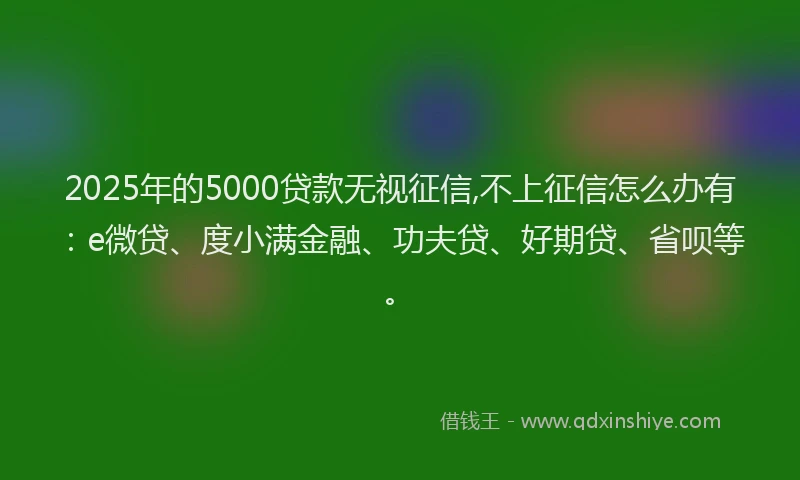 2025年的5000贷款无视征信,不上征信怎么办有：e微贷、度小满金融、功夫贷、好期贷、省呗等。