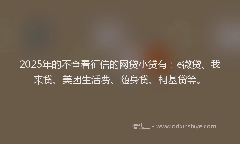 2025年的不查看征信的网贷小贷有：e微贷、我来贷、美团生活费、随身贷、柯基贷等。