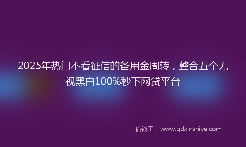 2025年热门不看征信的备用金周转，整合五个无视黑白100%秒下网贷平台