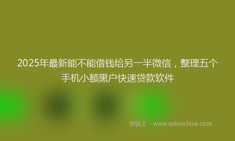 2025年最新能不能借钱给另一半微信，整理五个手机小额黑户快速贷款软件