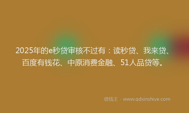 2025年的e秒贷审核不过有：读秒贷、我来贷、百度有钱花、中原消费金融、51人品贷等。