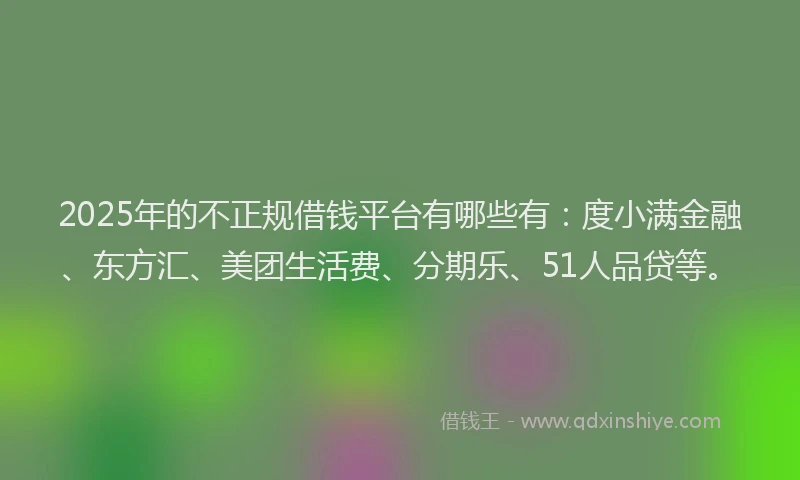 2025年的不正规借钱平台有哪些有：度小满金融、东方汇、美团生活费、分期乐、51人品贷等。