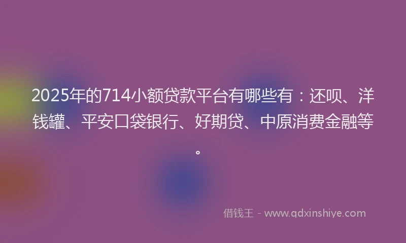 2025年的714小额贷款平台有哪些有：还呗、洋钱罐、平安口袋银行、好期贷、中原消费金融等。