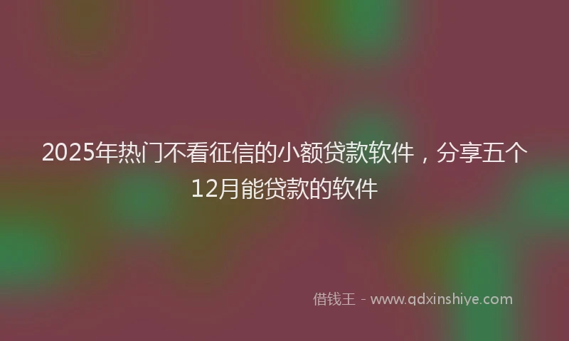 2025年热门不看征信的小额贷款软件，分享五个12月能贷款的软件