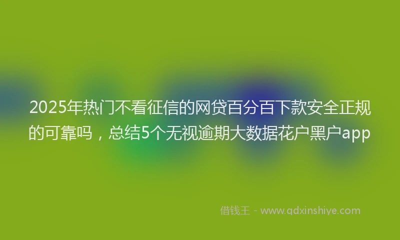 2025年热门不看征信的网贷百分百下款安全正规的可靠吗，总结5个无视逾期大数据花户黑户app
