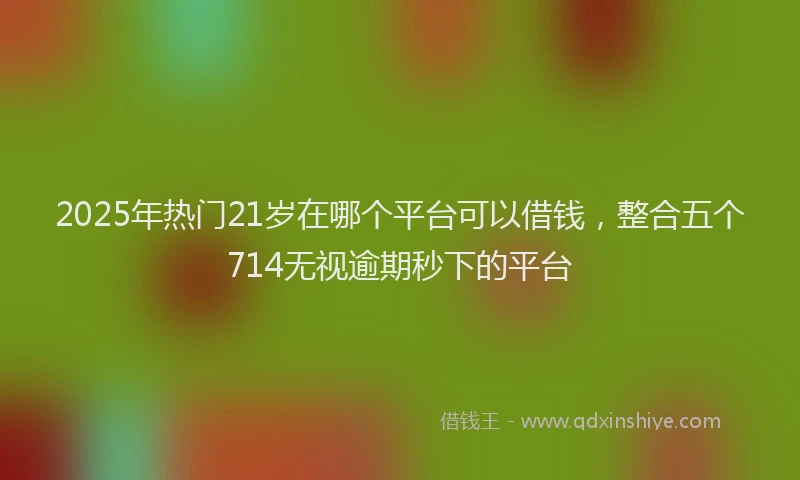 2025年热门21岁在哪个平台可以借钱，整合五个714无视逾期秒下的平台