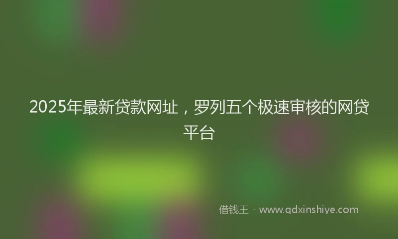 2025年最新贷款网址，罗列五个极速审核的网贷平台