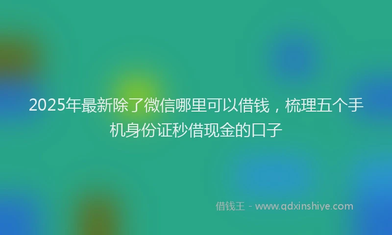 2025年最新除了微信哪里可以借钱，梳理五个手机身份证秒借现金的口子