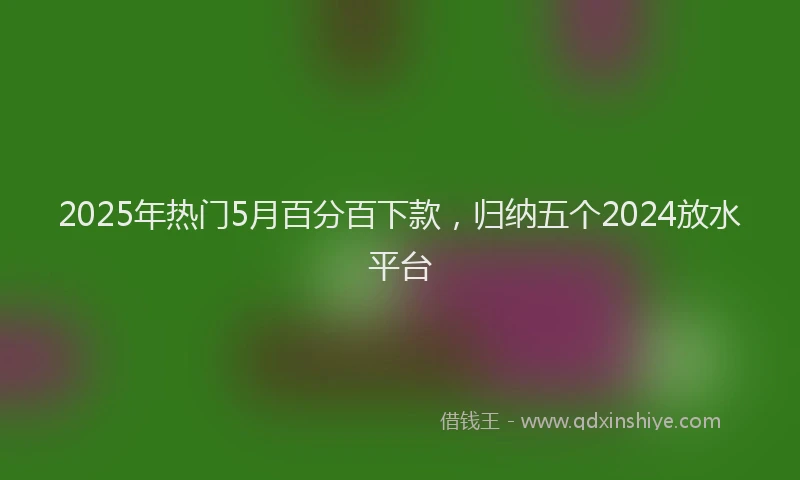 2025年热门5月百分百下款，归纳五个2024放水平台