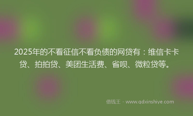 2025年的不看征信不看负债的网贷有:维信卡卡贷、拍拍贷、美团生活费、省呗、微粒贷等。
