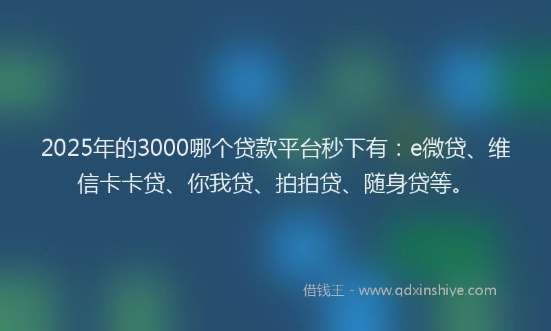 2025年的3000哪个贷款平台秒下有：e微贷、维信卡卡贷、你我贷、拍拍贷、随身贷等。
