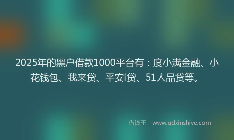 2025年的黑户借款1000平台有：度小满金融、小花钱包、我来贷、平安i贷、51人品贷等。