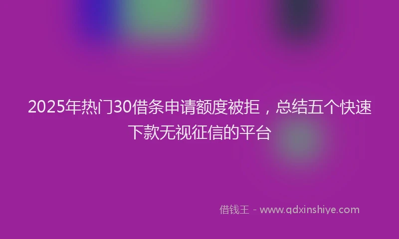 2025年热门30借条申请额度被拒，总结五个快速下款无视征信的平台