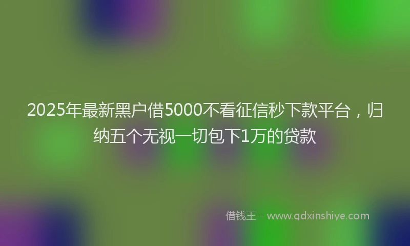 2025年最新黑户借5000不看征信秒下款平台，归纳五个无视一切包下1万的贷款