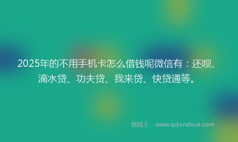 2025年的不用手机卡怎么借钱呢微信有：还呗、滴水贷、功夫贷、我来贷、快贷通等。