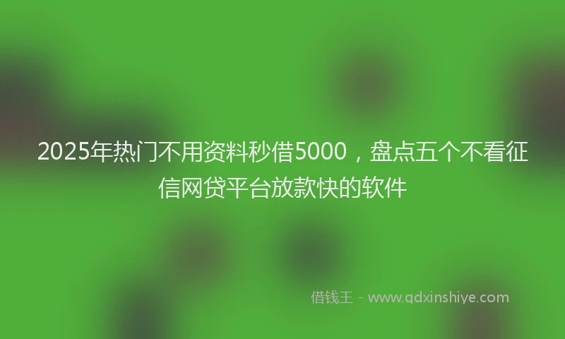 2025年热门不用资料秒借5000，盘点五个不看征信网贷平台放款快的软件