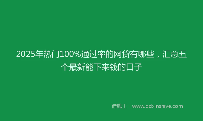 2025年热门100%通过率的网贷有哪些，汇总五个最新能下来钱的口子
