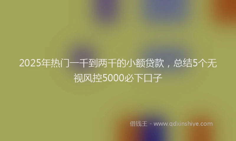2025年热门一千到两千的小额贷款，总结5个无视风控5000必下口子