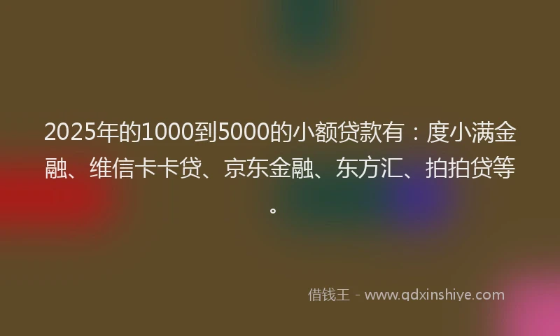 2025年的1000到5000的小额贷款有：度小满金融、维信卡卡贷、京东金融、东方汇、拍拍贷等。