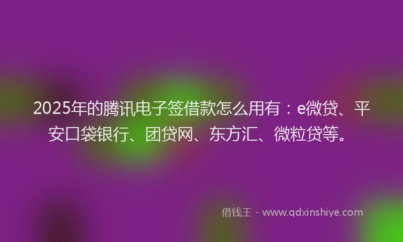 2025年的腾讯电子签借款怎么用有：e微贷、平安口袋银行、团贷网、东方汇、微粒贷等。