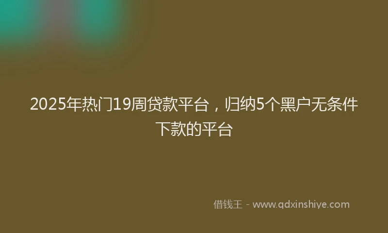 2025年热门19周贷款平台，归纳5个黑户无条件下款的平台