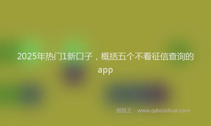 2025年热门1新口子，概括五个不看征信查询的app