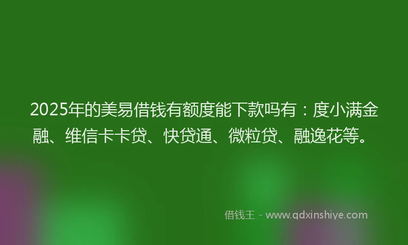 2025年的美易借钱有额度能下款吗有：度小满金融、维信卡卡贷、快贷通、微粒贷、融逸花等。