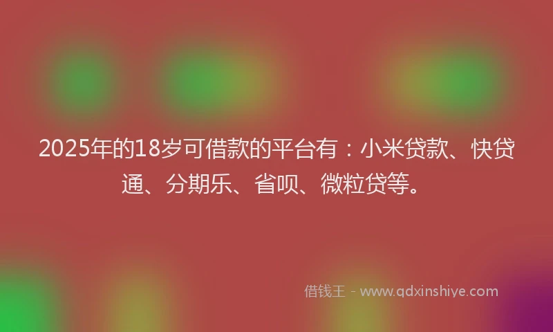 2025年的18岁可借款的平台有：小米贷款、快贷通、分期乐、省呗、微粒贷等。