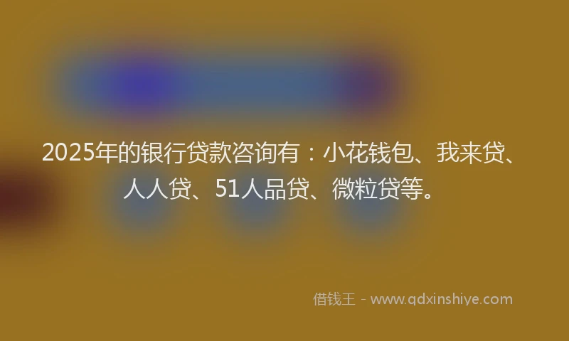 2025年的银行贷款咨询有：小花钱包、我来贷、人人贷、51人品贷、微粒贷等。