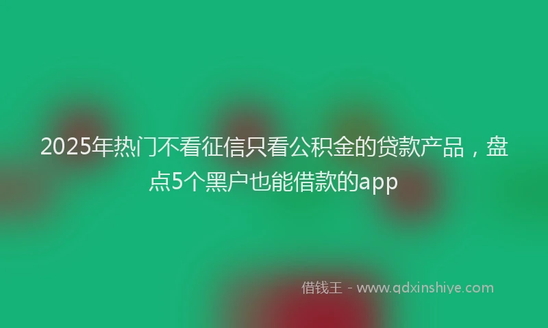 2025年热门不看征信只看公积金的贷款产品，盘点5个黑户也能借款的app