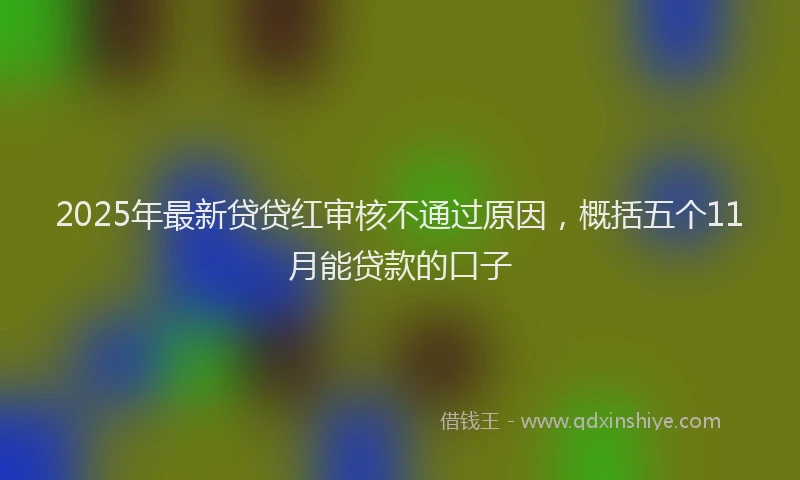 2025年最新贷贷红审核不通过原因，概括五个11月能贷款的口子