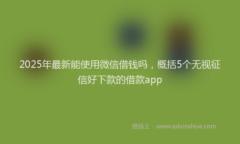 2025年最新能使用微信借钱吗，概括5个无视征信好下款的借款app