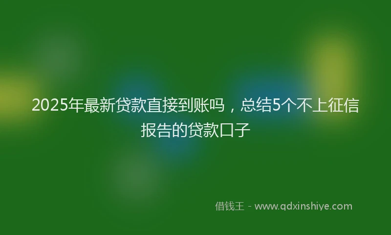 2025年最新贷款直接到账吗，总结5个不上征信报告的贷款口子