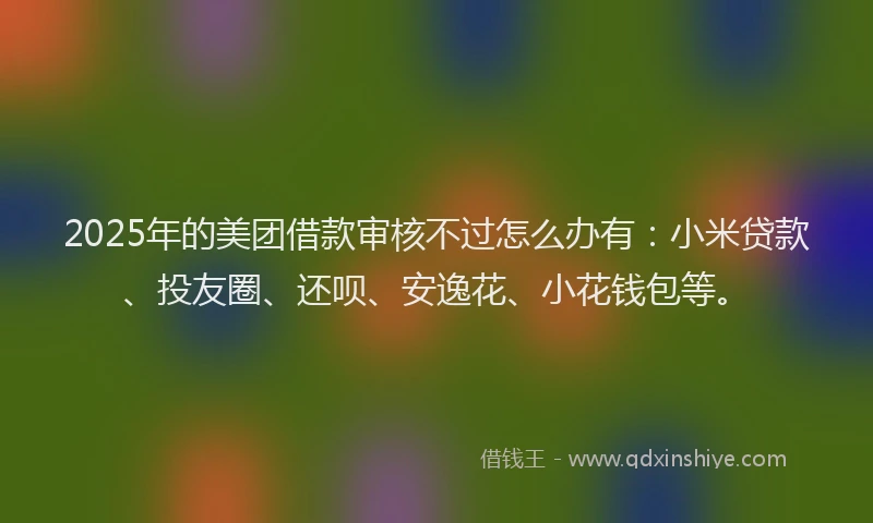 2025年的美团借款审核不过怎么办有：小米贷款、投友圈、还呗、安逸花、小花钱包等。
