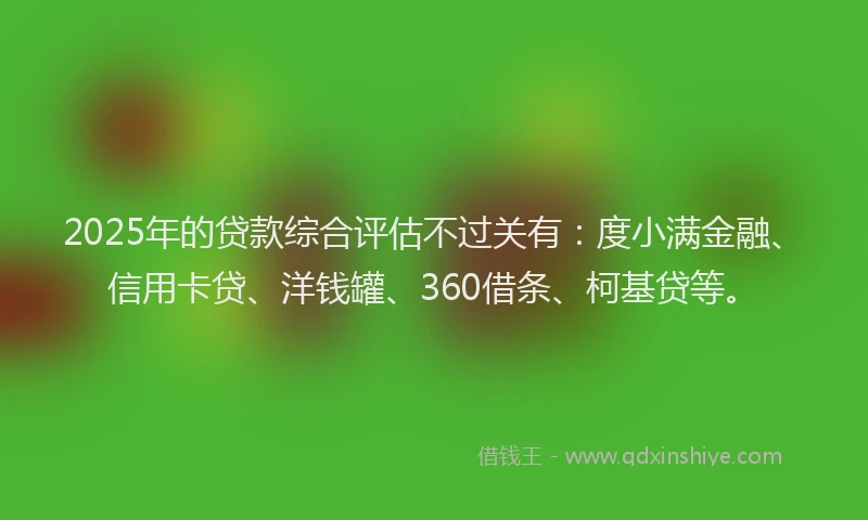 2025年的贷款综合评估不过关有：度小满金融、信用卡贷、洋钱罐、360借条、柯基贷等。