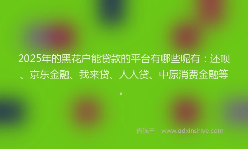 2025年的黑花户能贷款的平台有哪些呢有：还呗、京东金融、我来贷、人人贷、中原消费金融等。