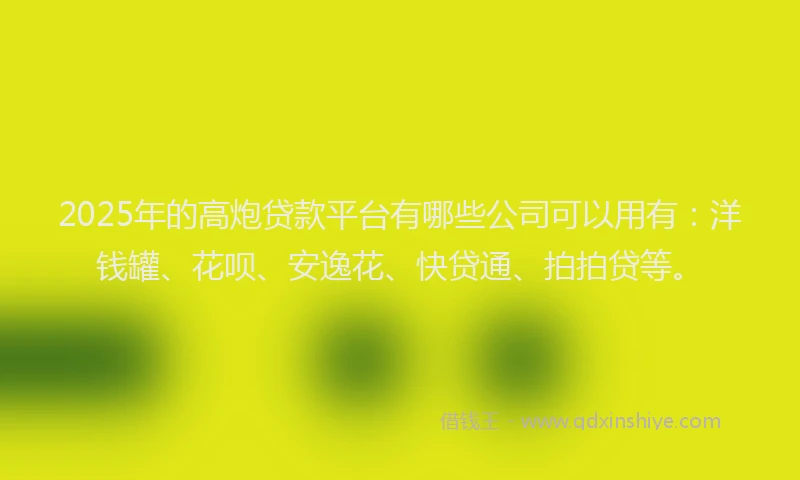 2025年的高炮贷款平台有哪些公司可以用有：洋钱罐、花呗、安逸花、快贷通、拍拍贷等。