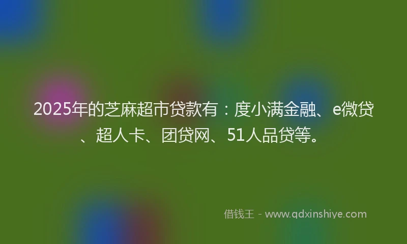 2025年的芝麻超市贷款有：度小满金融、e微贷、超人卡、团贷网、51人品贷等。