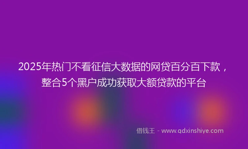 2025年热门不看征信大数据的网贷百分百下款，整合5个黑户成功获取大额贷款的平台