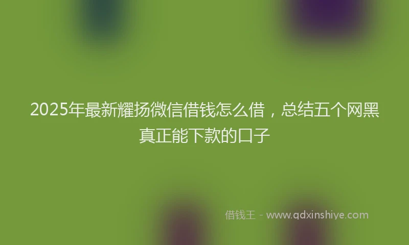 2025年最新耀扬微信借钱怎么借，总结五个网黑真正能下款的口子