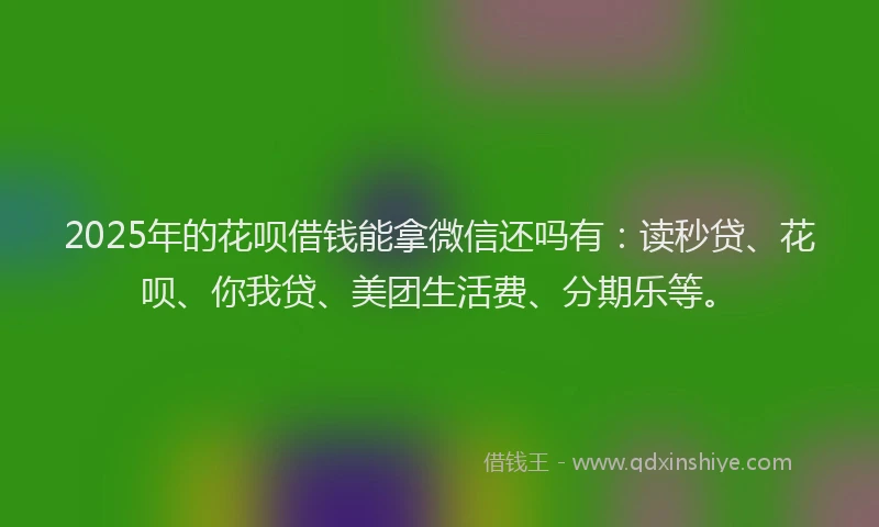 2025年的花呗借钱能拿微信还吗有：读秒贷、花呗、你我贷、美团生活费、分期乐等。