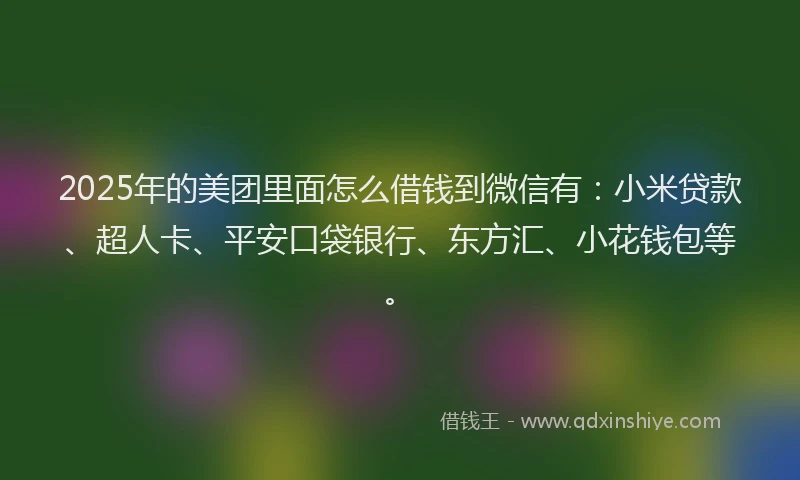 2025年的美团里面怎么借钱到微信有：小米贷款、超人卡、平安口袋银行、东方汇、小花钱包等。